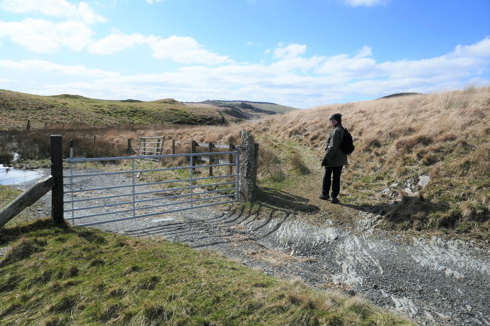 RachelSeabrook.net | Wild Walking | Cwm Cyneiniog and Craig y Pistyll | pic23
